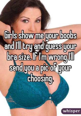 show me your boobs tumblr