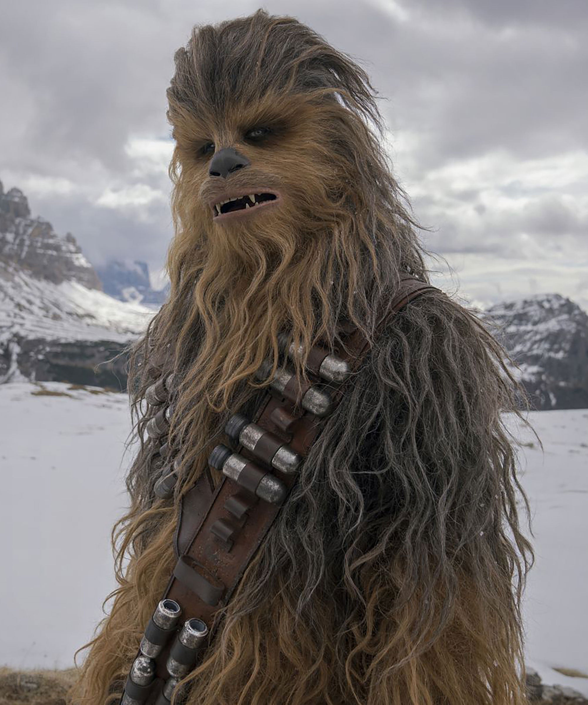 Pictures Of Chewy From Star Wars native women