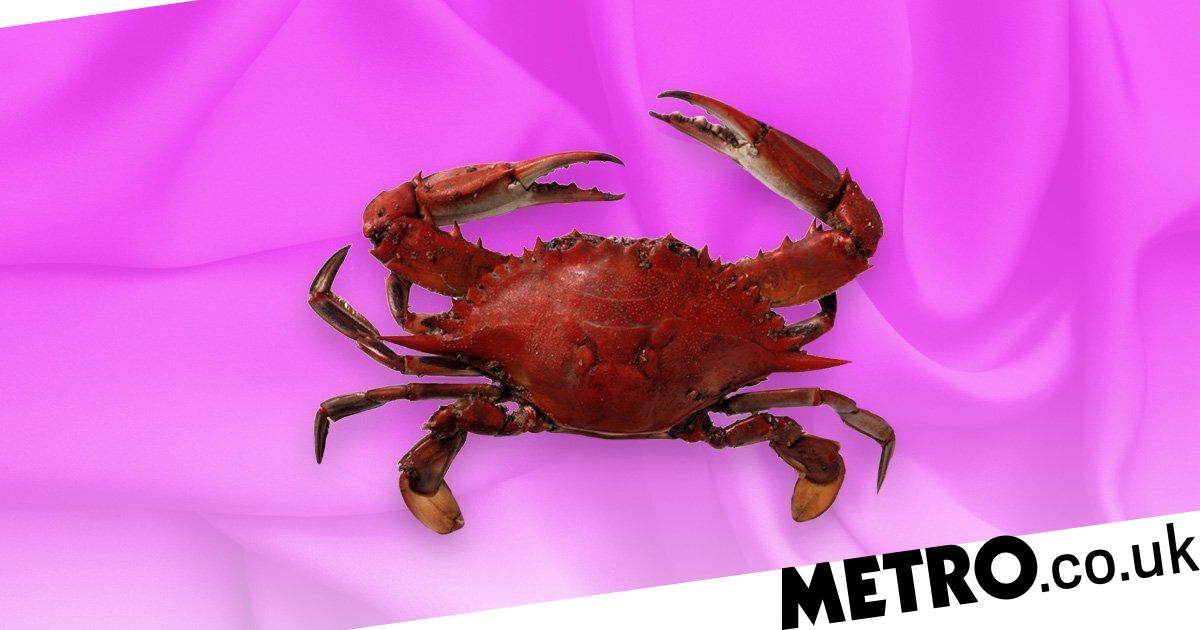 cody moffett share the crab sex position photos