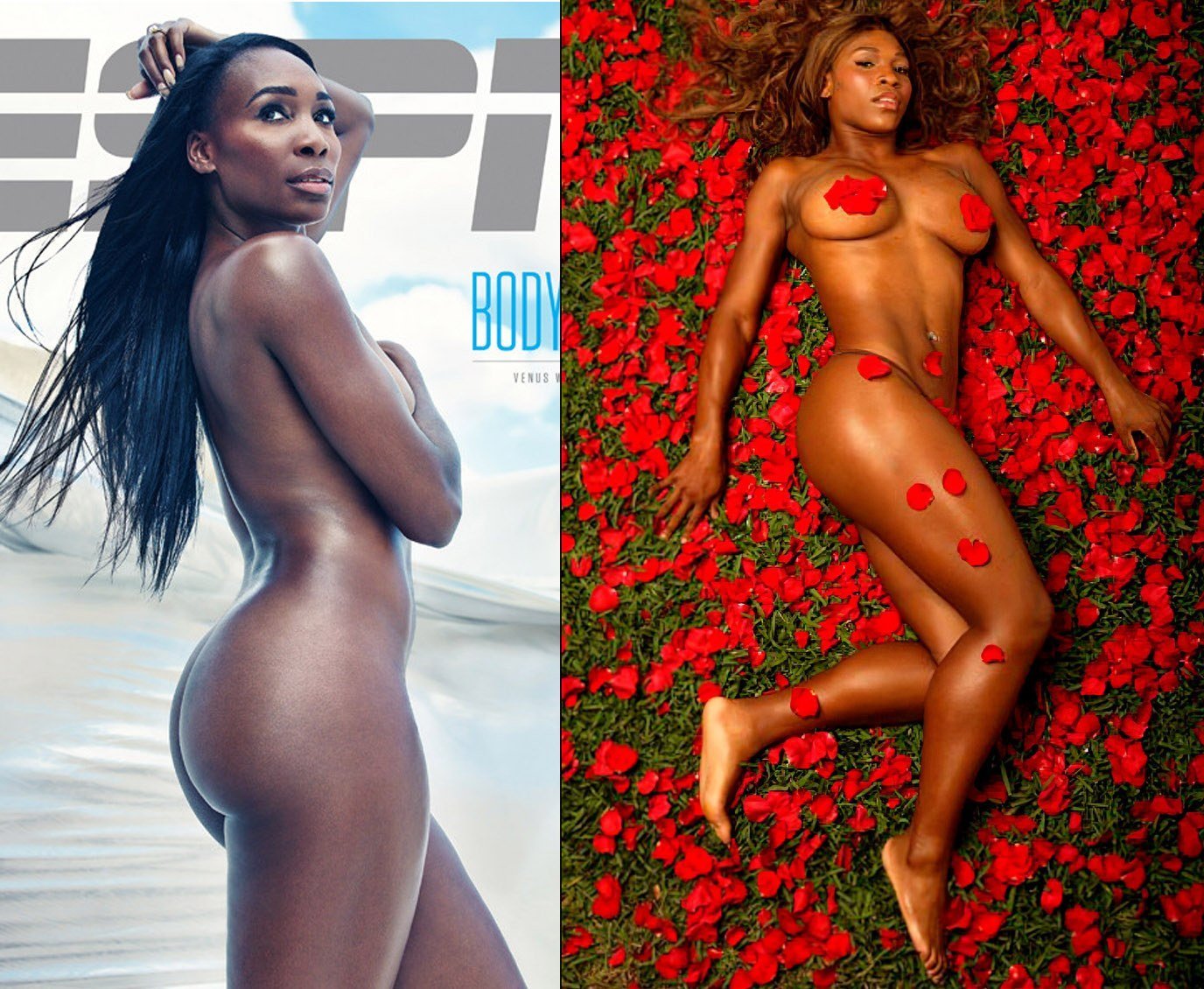 daisy corral recommends venus and serena williams naked pic