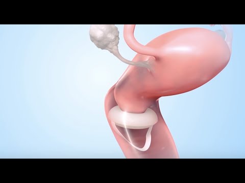 Best of Ejaculation in vagina video