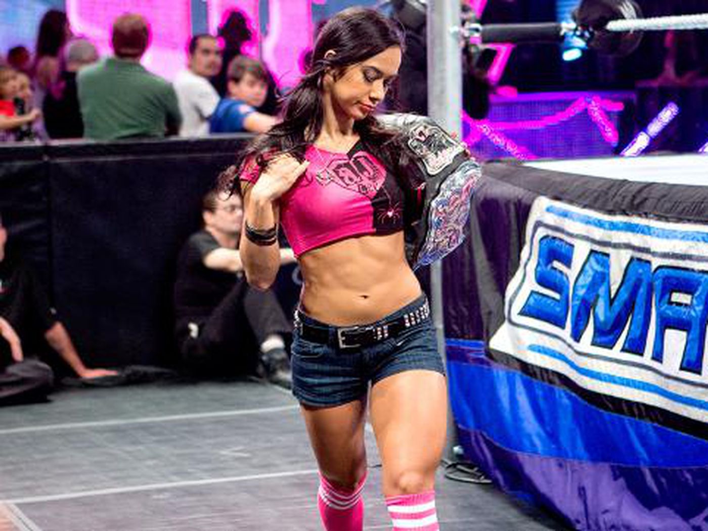 wwe aj lee bra