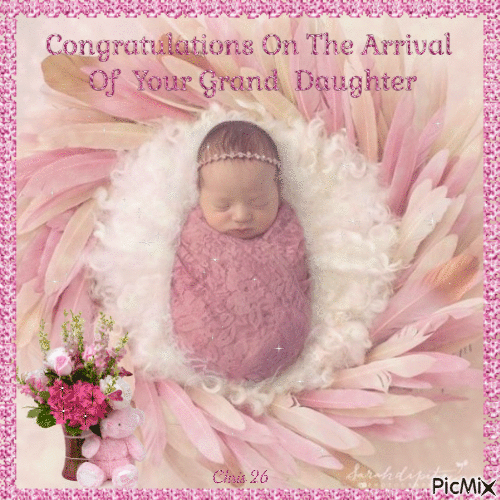 carol fleck share congratulations on your new granddaughter gif photos