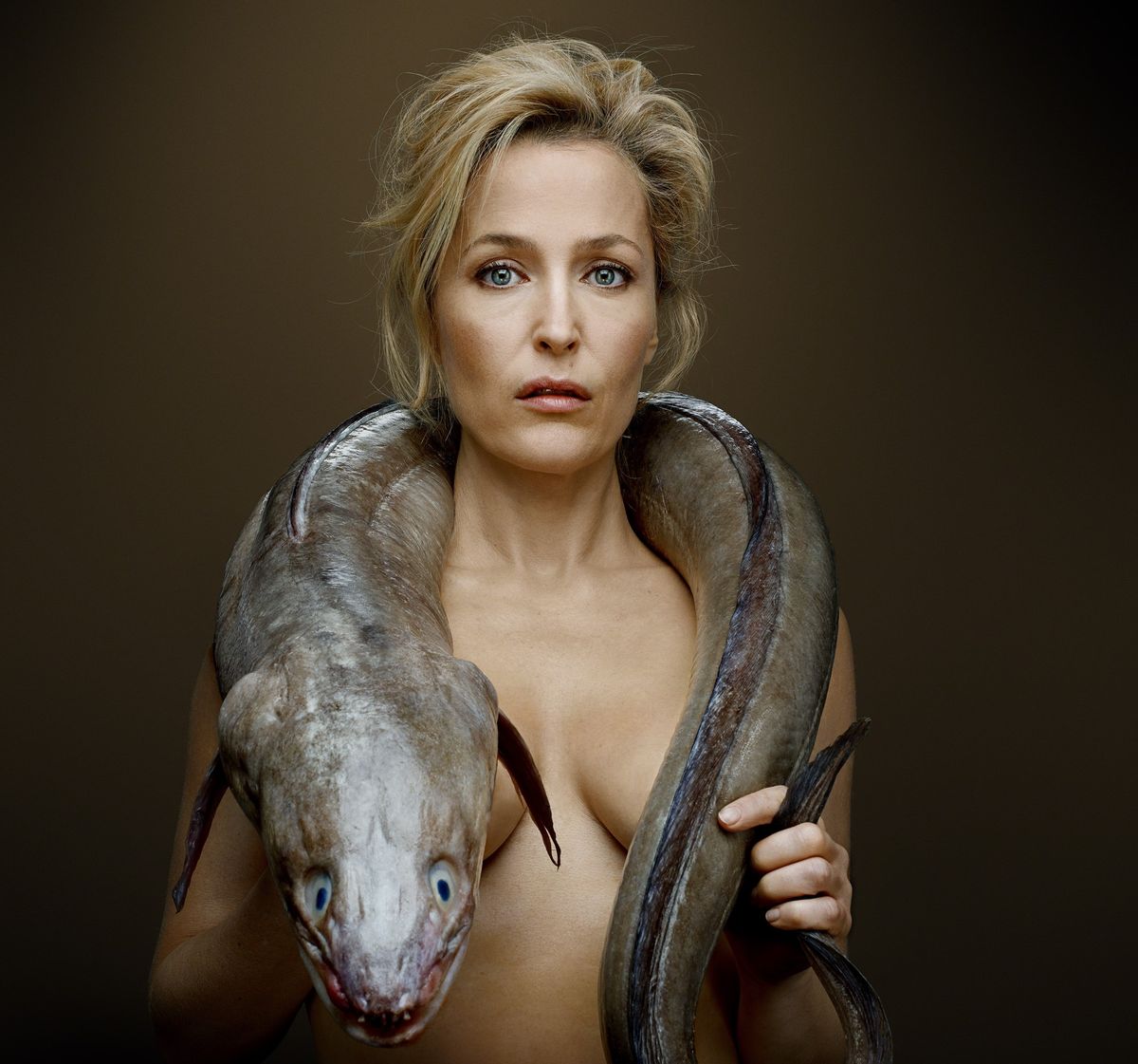 donna l miller recommends gillian anderson nude pics pic