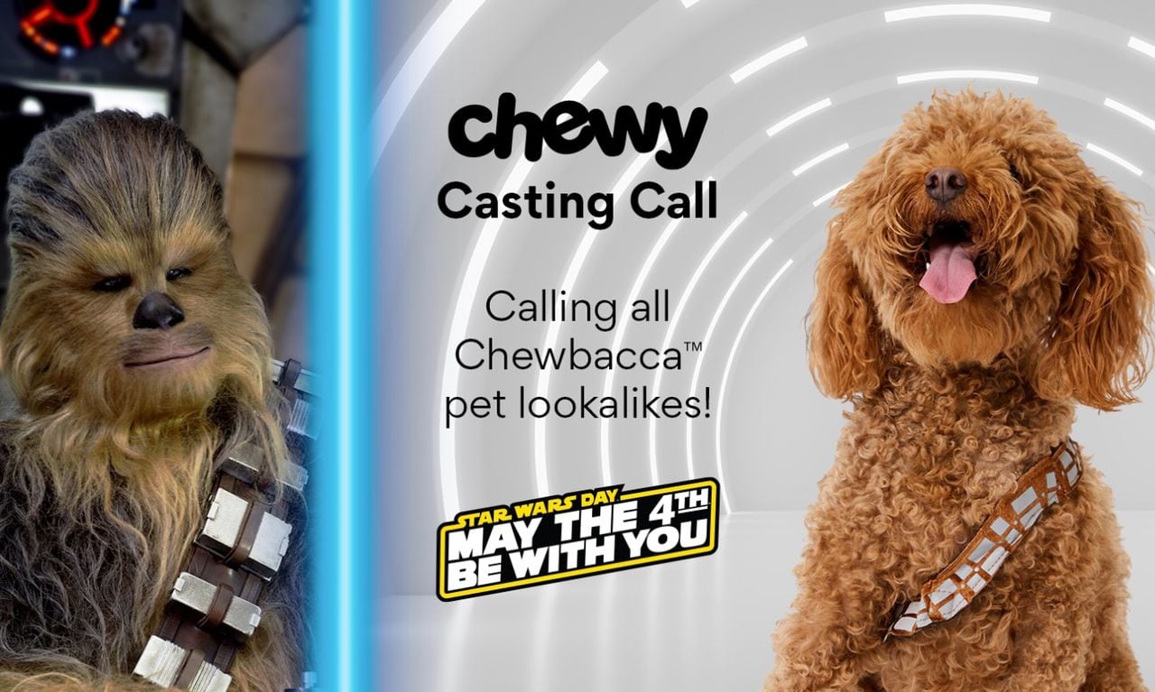 christa macias recommends Pictures Of Chewy From Star Wars