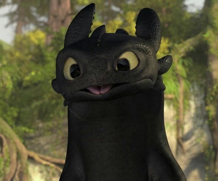Best of How to train your dragon images of toothless