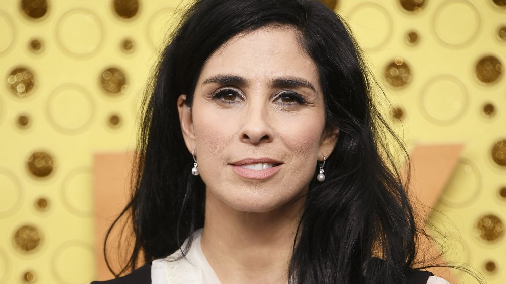 aaron sayles add pictures of sarah silverman photo