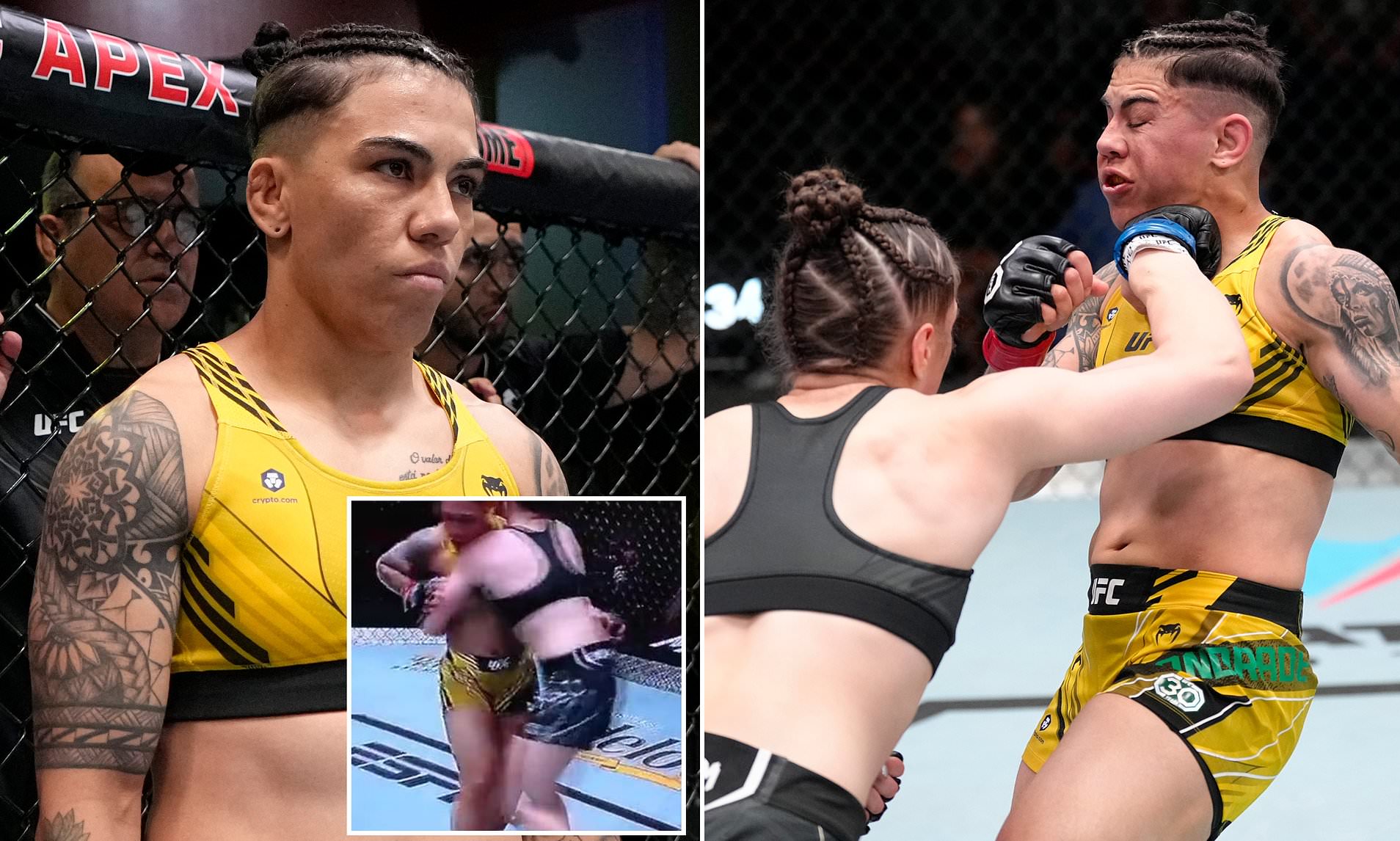 daniella montagnese recommends Nip Slip During Ufc Fight