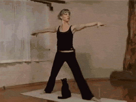 christina bettis share imgur yoga pants gif photos