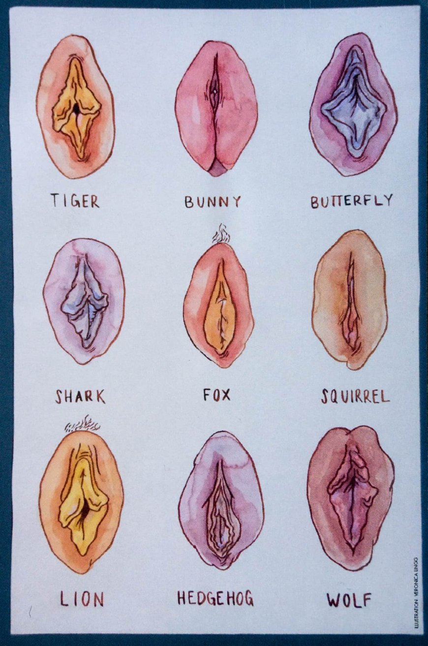 Best of 30 types of pussy