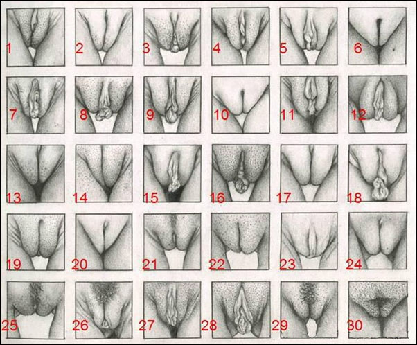 chris ewry recommends 30 Types Of Pussy