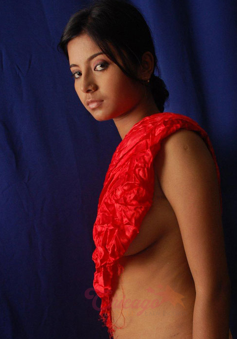 andy economos recommends indian escorts in chicago pic