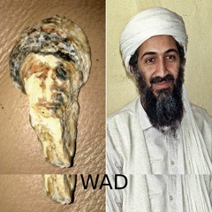 cheryl tyas recommends osama bin laden penis pic