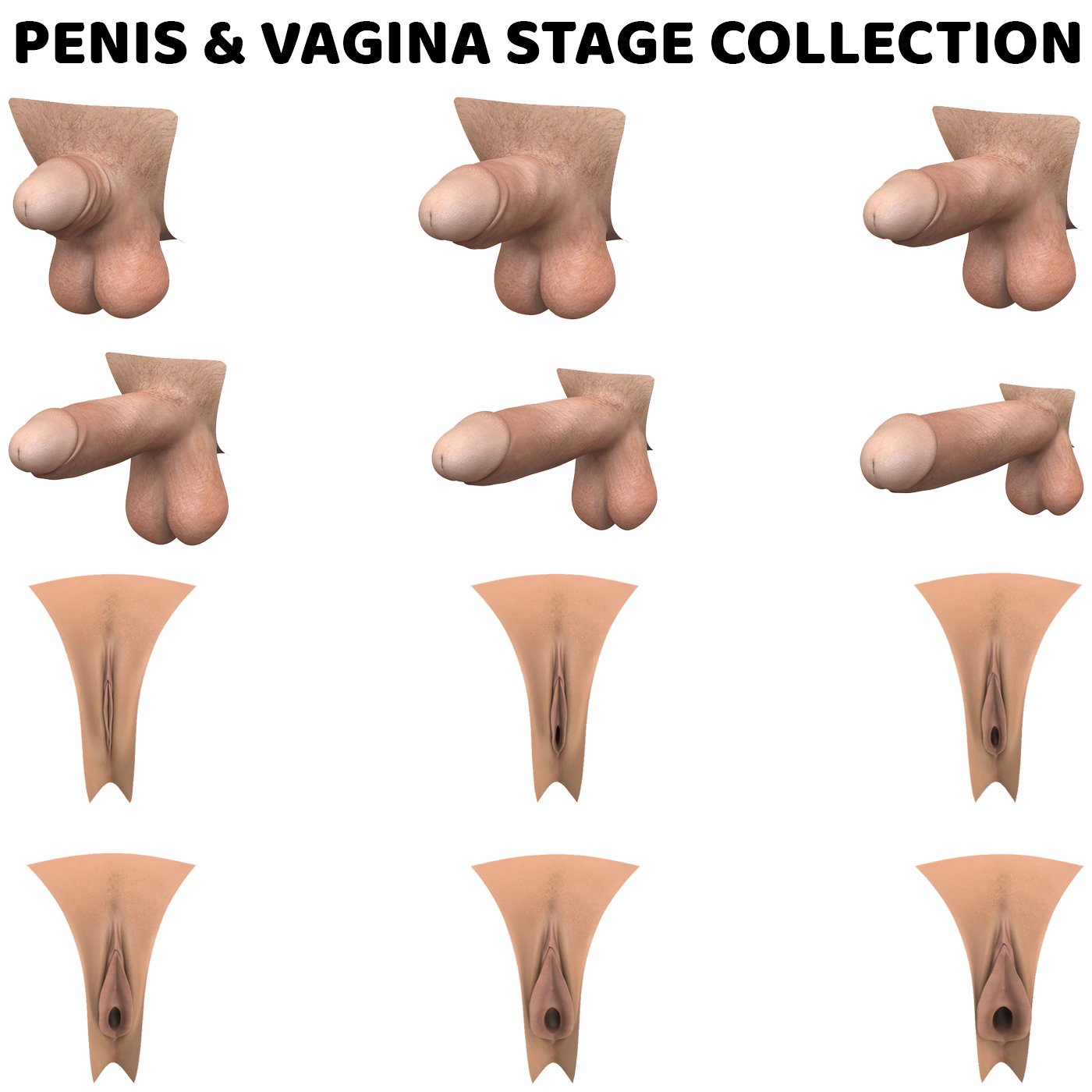 Penis And Vagina Pic online hindi