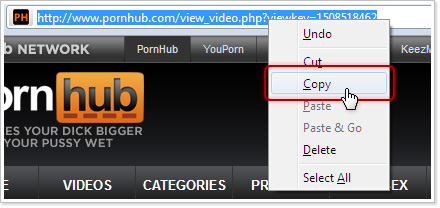 Best of How to download private pornhub videos