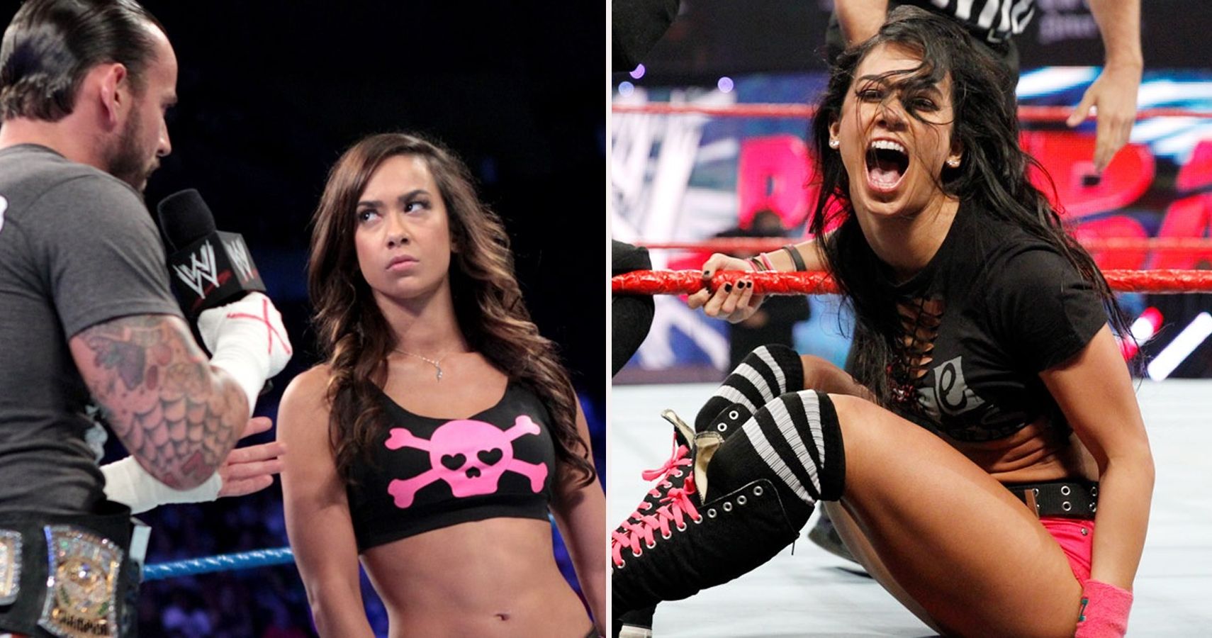 bria richardson add wwe aj lee bra photo