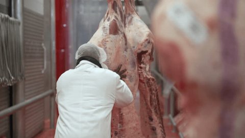 ben blowes recommends What Do Meat Curtains Look Like