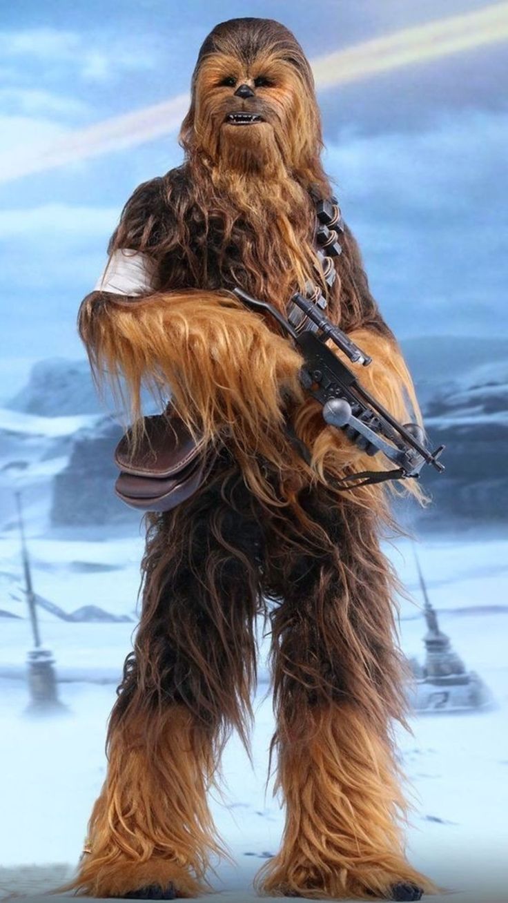 donna sherlock recommends pictures of chewy from star wars pic