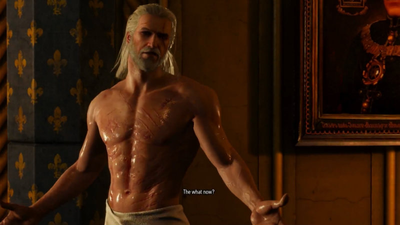 delphine gautier recommends the witcher sex pic