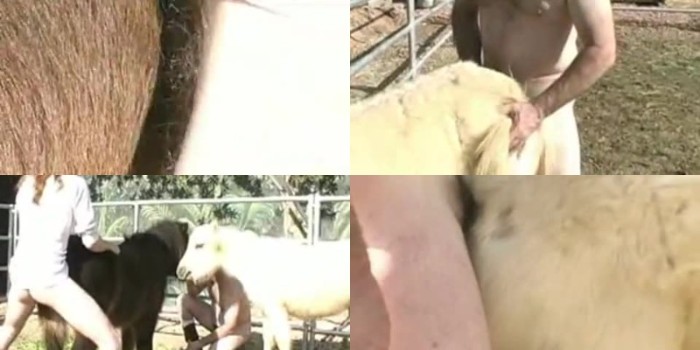 Guy Fucks Farm Animals spotlight mercy