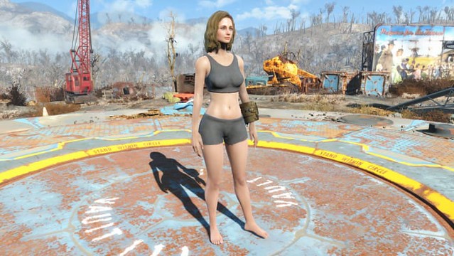 chill factor add photo adult fallout 4 mods
