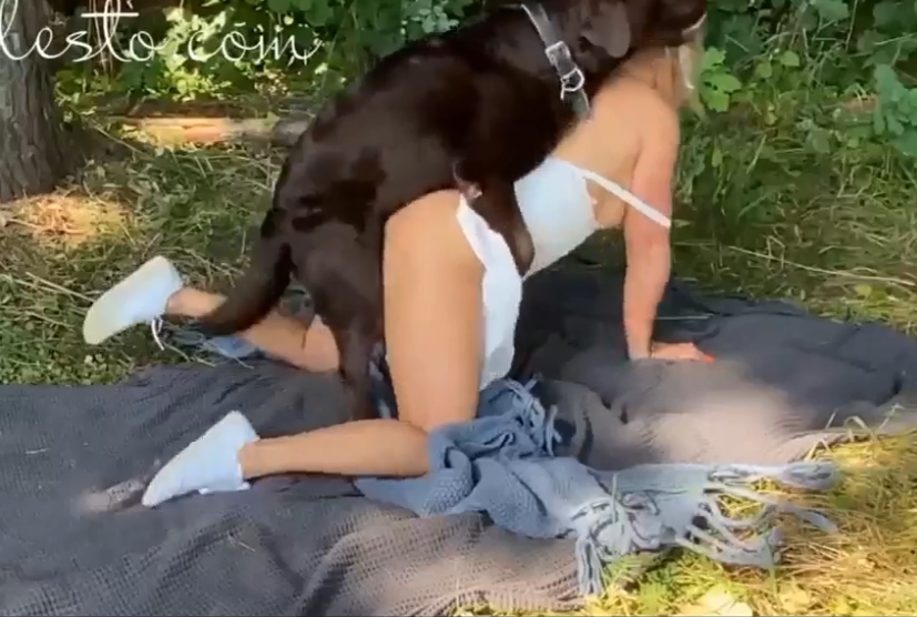 girl being fucked by a dog
