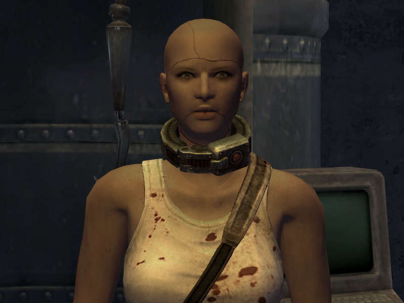 courtney mclauchlan recommends fallout new vegas lesbian pic
