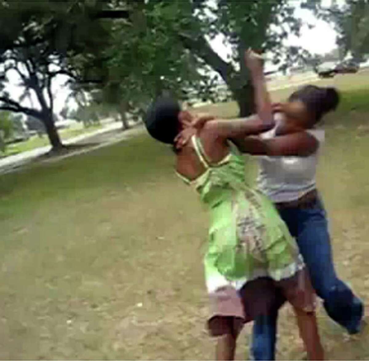Black Girl Fights At School stallion picture