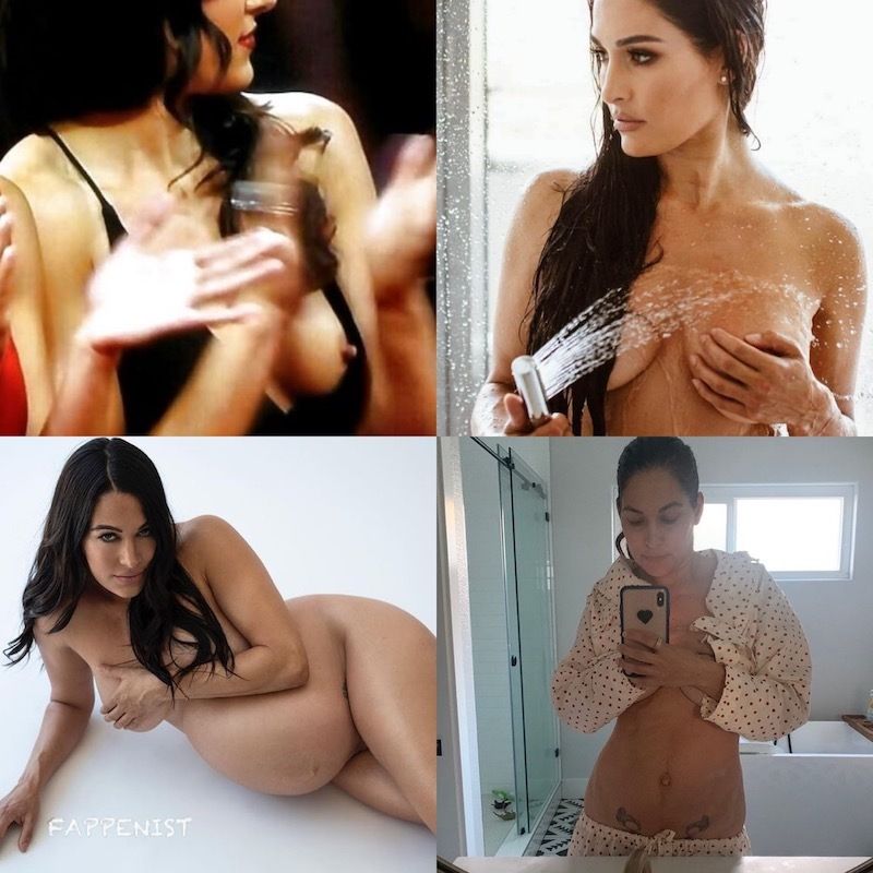 chantha sem recommends nikki bella fully naked pic