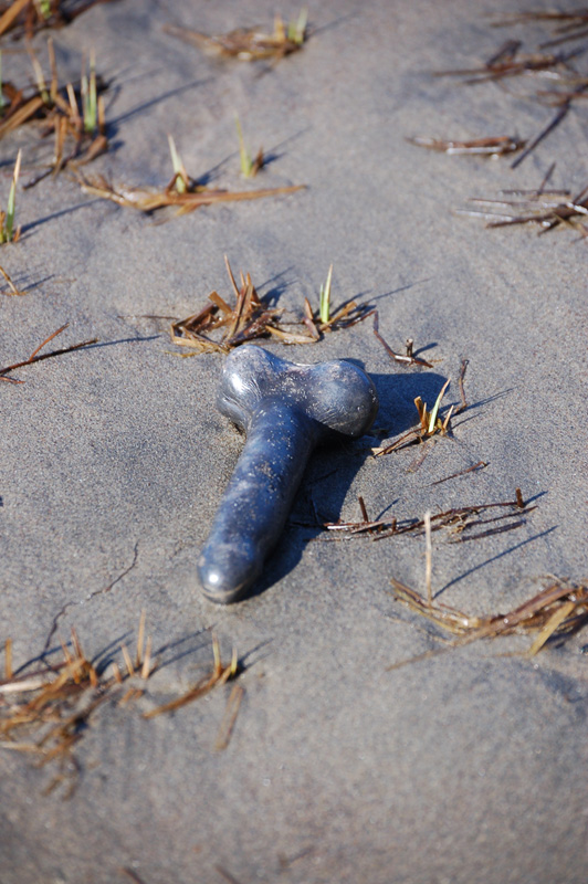 nude beach vagina