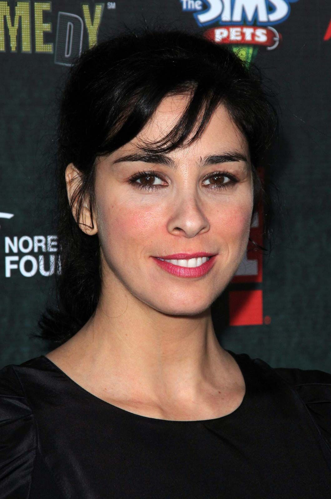 bridie clarke recommends pictures of sarah silverman pic