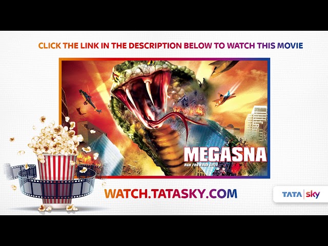 ana luisa monteiro recommends Mega Snake Full Movie