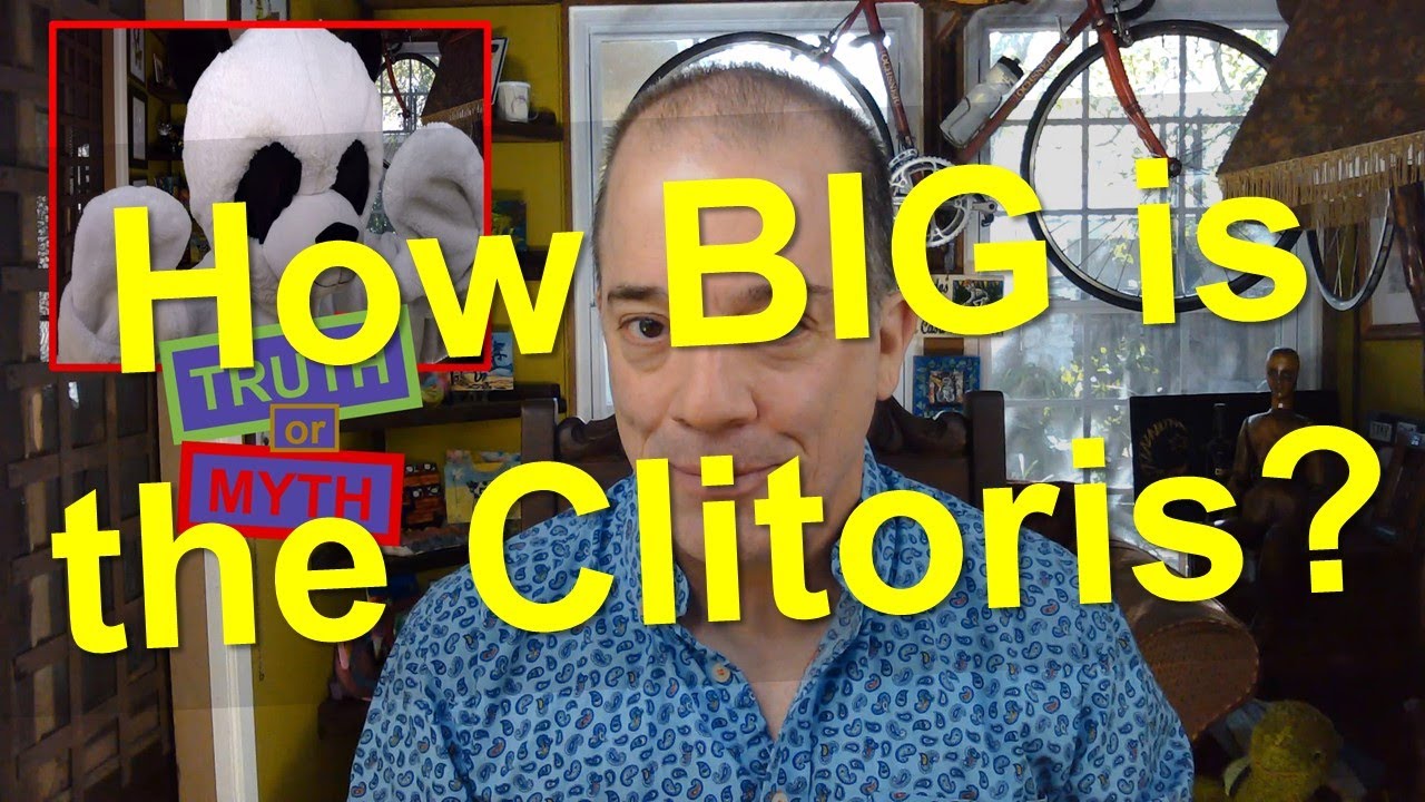 aline zeidan recommends women with large clitorus pic