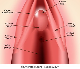 brian taitt add photos of clitorus photo