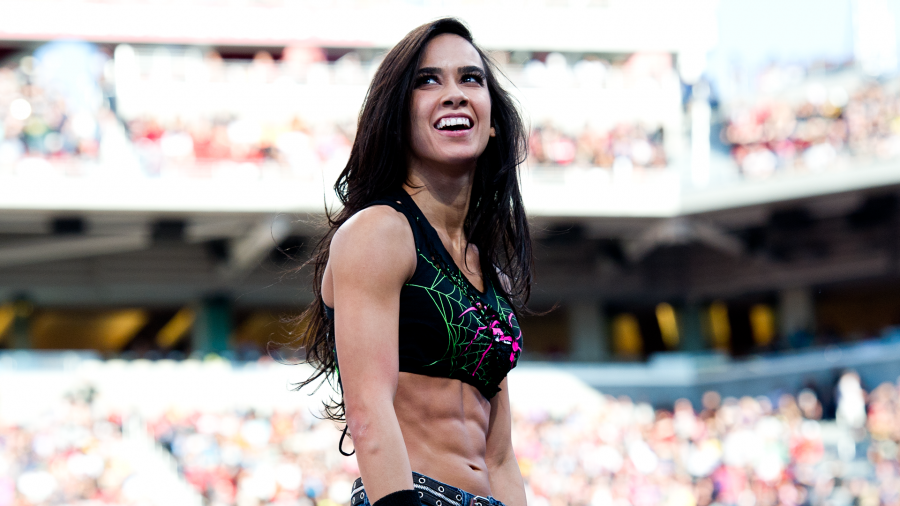 diandra bowen recommends wwe aj lee leaked pic