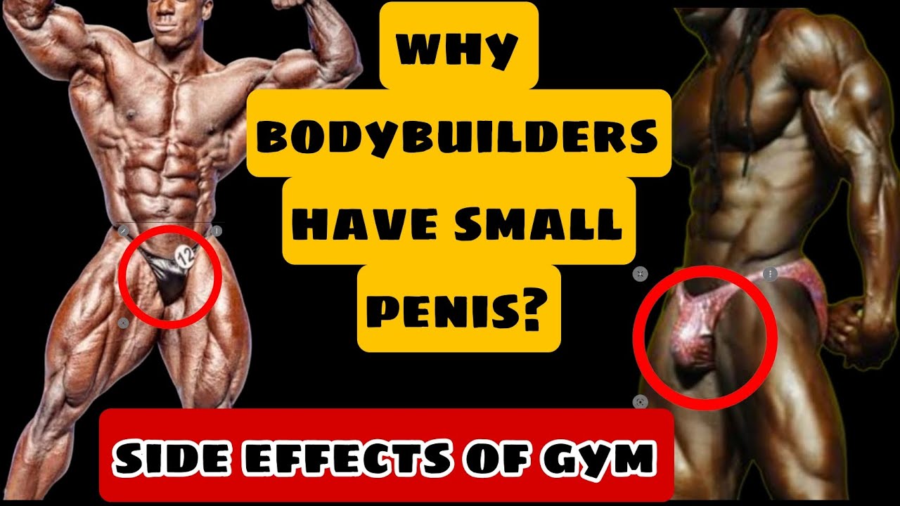 Why Do Bodybuilders Have Small Penises sucking gameshow