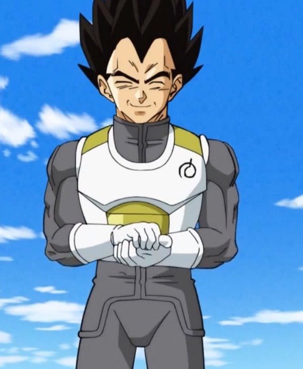 amin ash recommends Is Vegetas Hair Brown Or Black