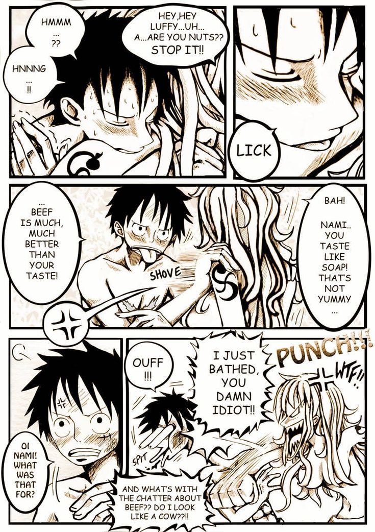 anton harmon recommends luffy x nami comic pic