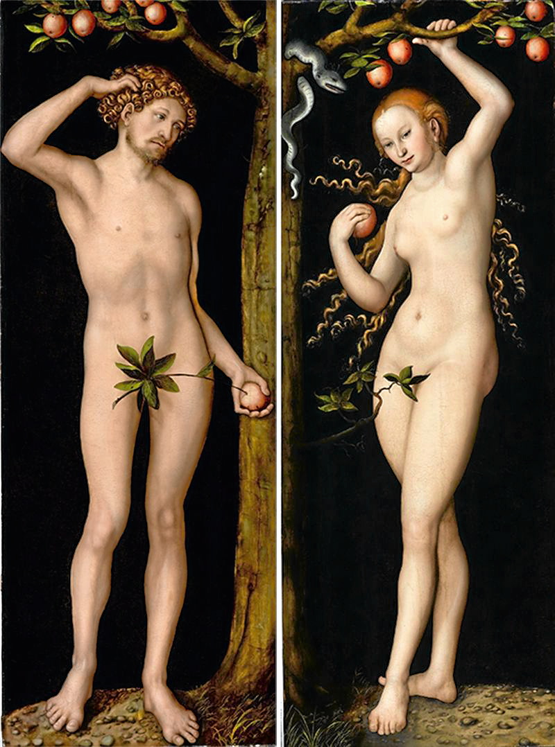 ann lynch recommends adam and eve spokeswoman pic