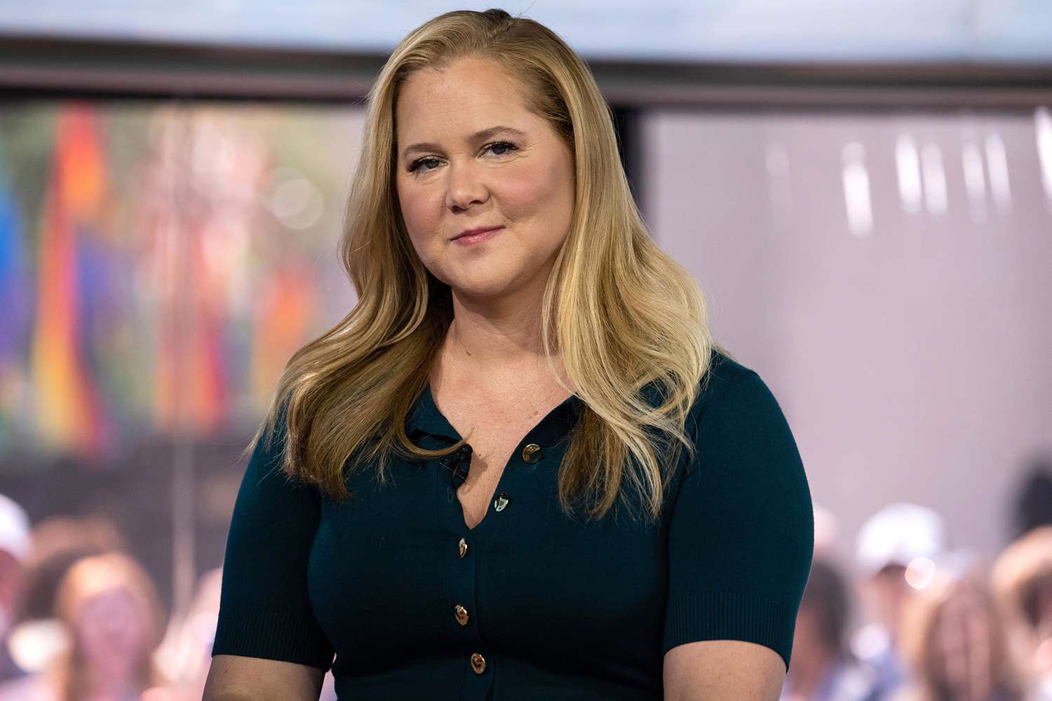 christy lowder recommends amy schumer rule 34 pic