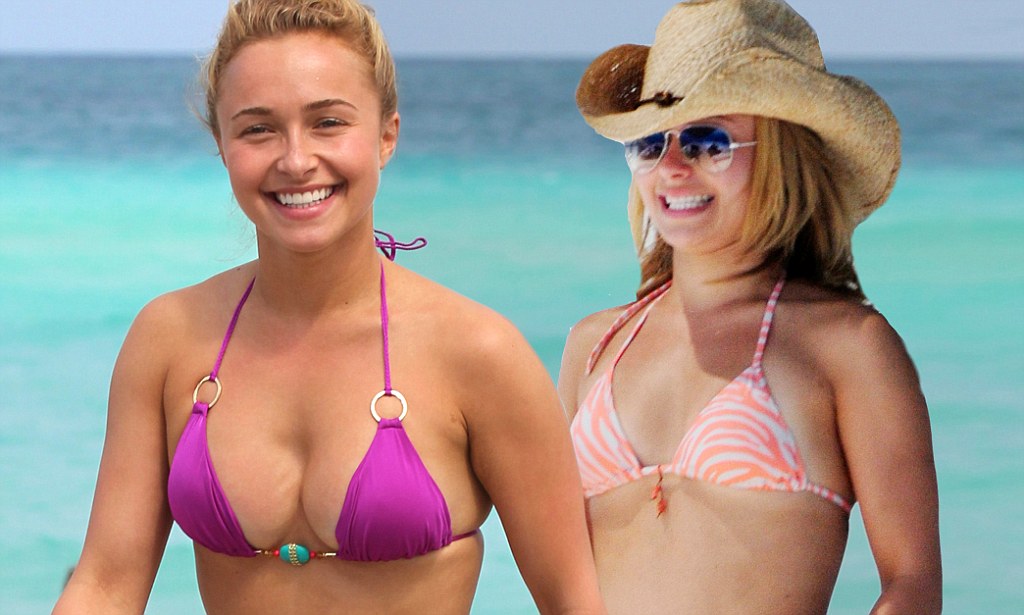 angelica viveros recommends hayden panettiere tits pic