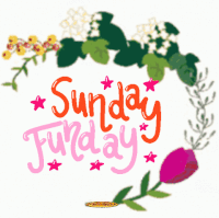 alfred baniaga jr recommends Sunday Funday Gif