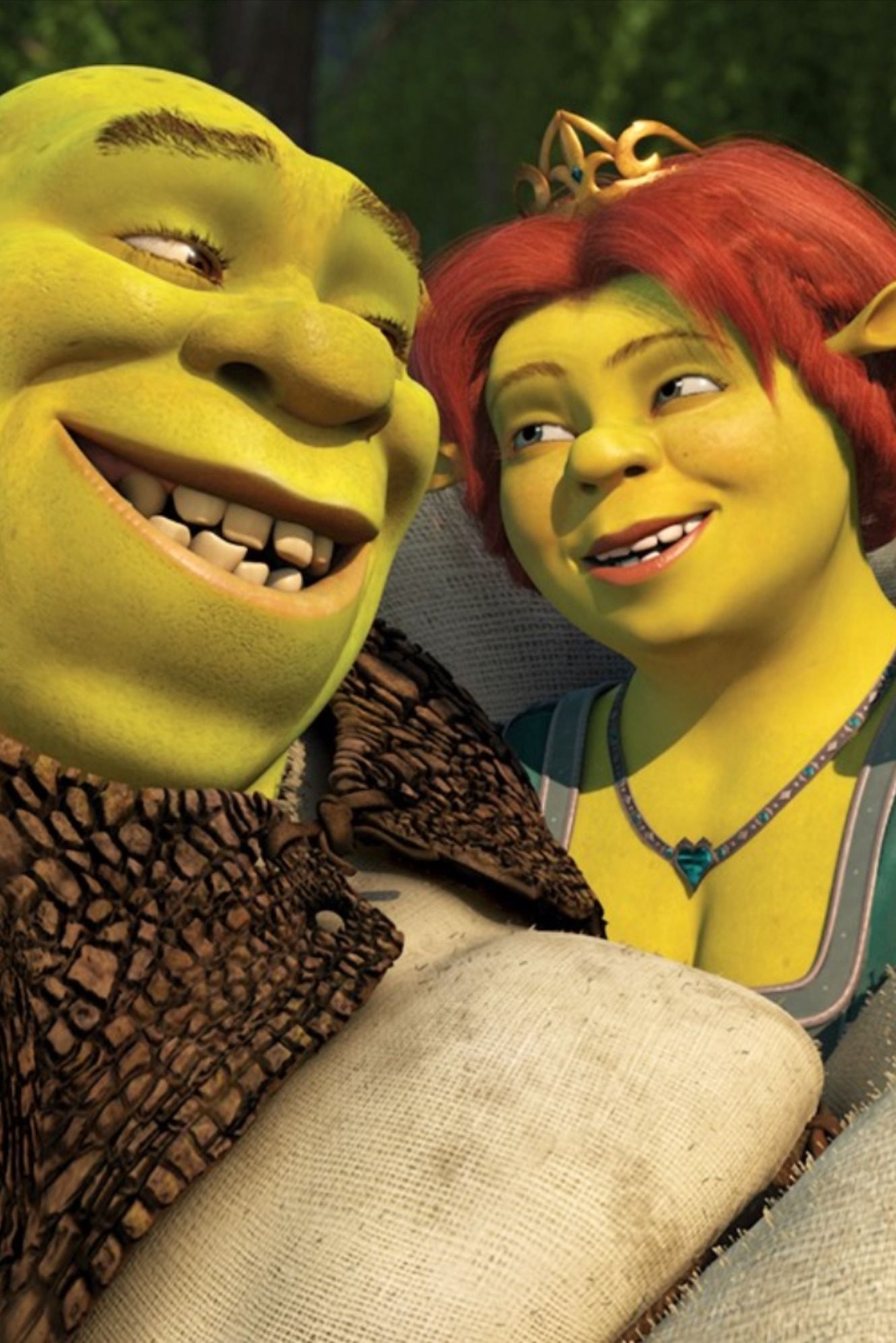 charles turley recommends Pictures Of Fiona From Shrek