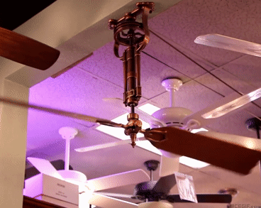 amanda lynn butler add photo fidget spinner ceiling fan gif