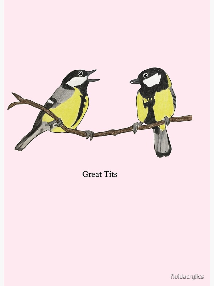 a pair of tits