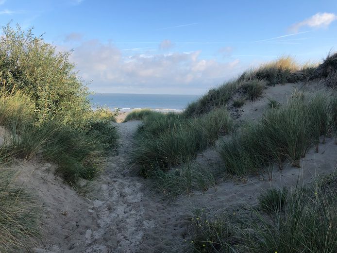 Seks In De Duinen bonne levrette