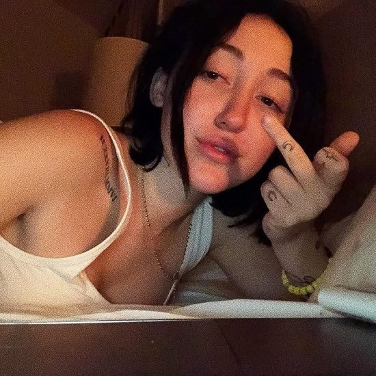dhinesh cool recommends noah cyrus sex tape pic
