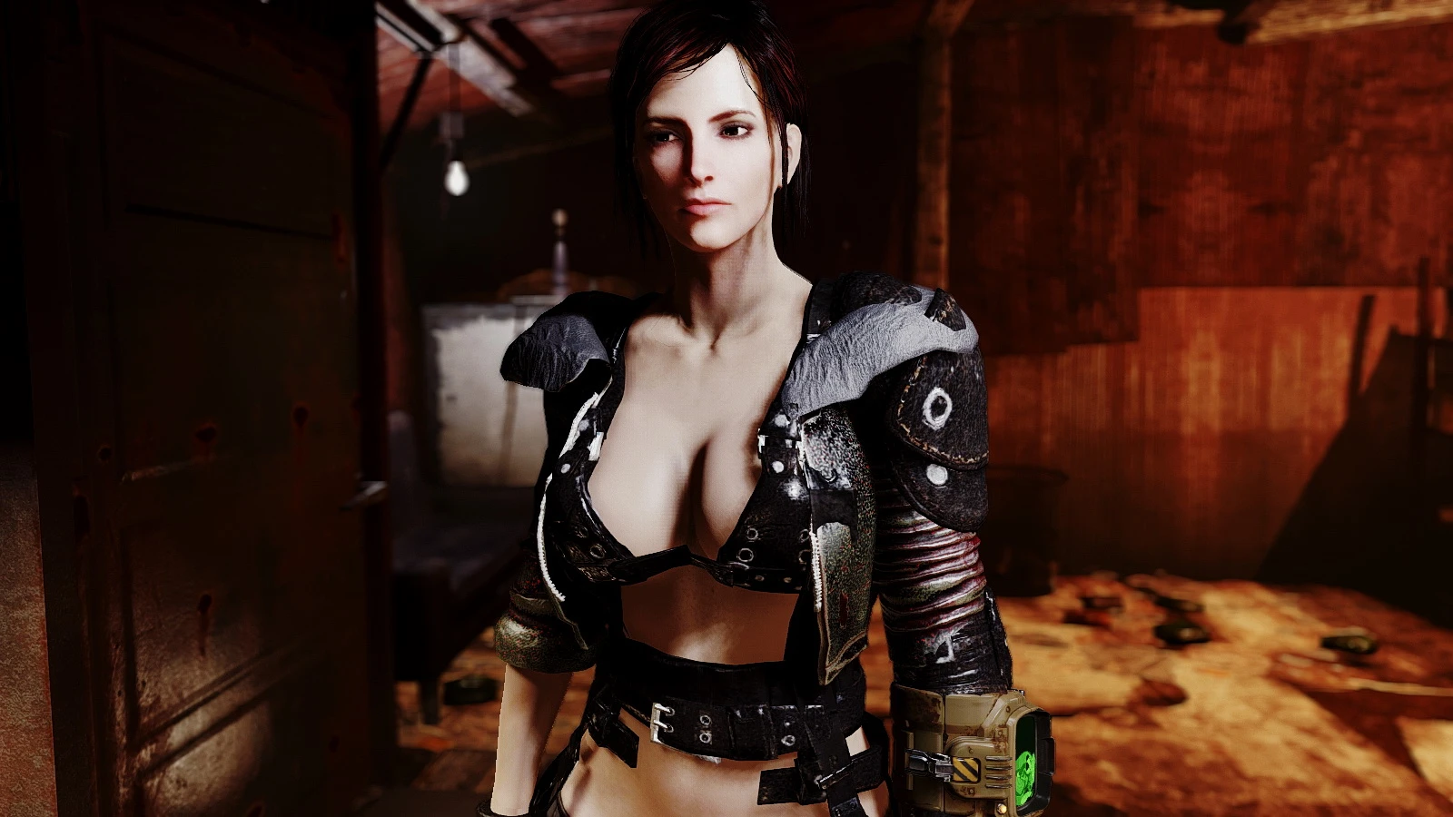 allyson moore recommends Adult Fallout 4 Mods