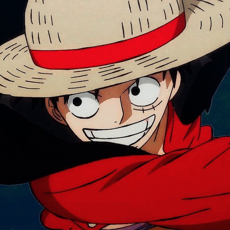 bertha tyler recommends images of luffy pic