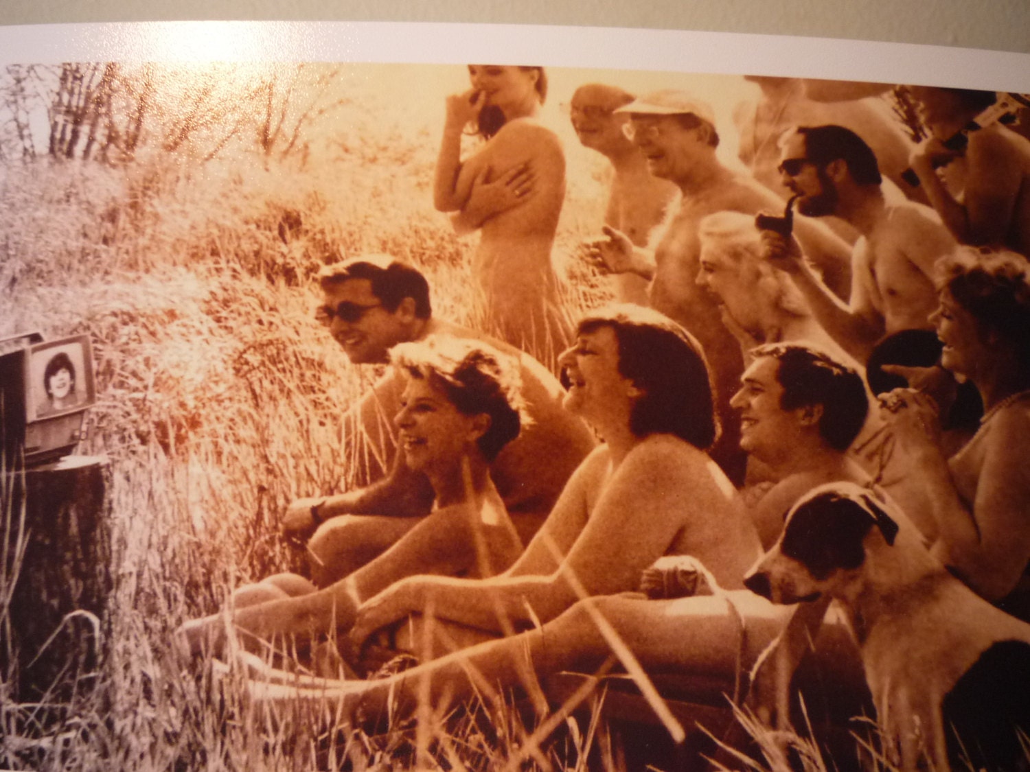 Photos Of Nudist Camps star gallery